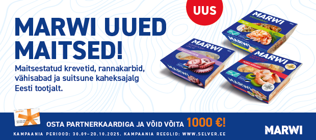 Auhinnamängu pilt