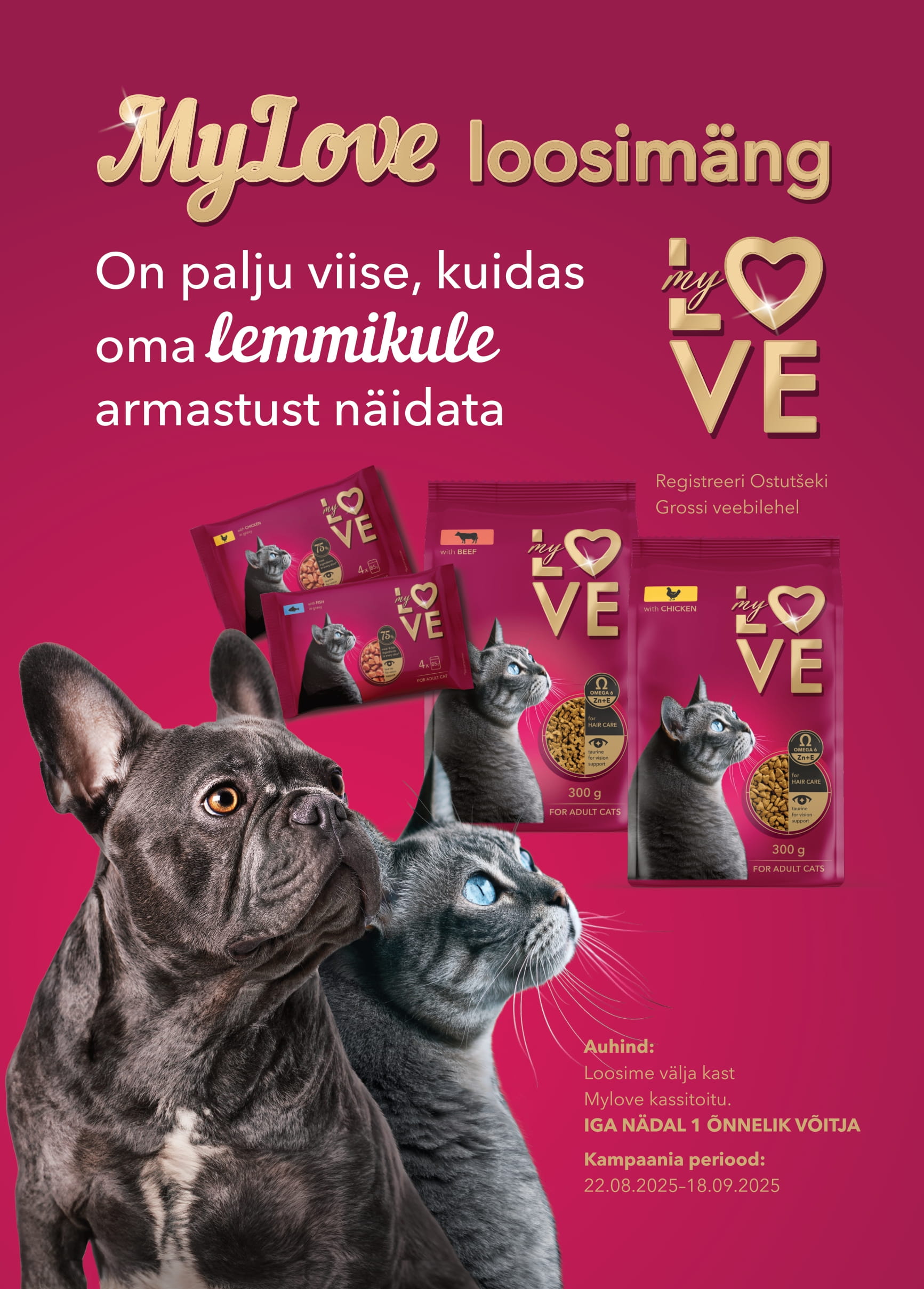 Auhinnamängu pilt