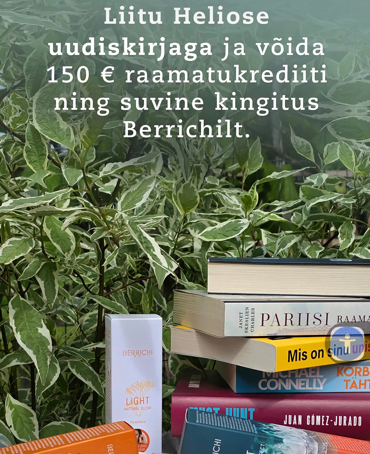 Auhinnamängu pilt