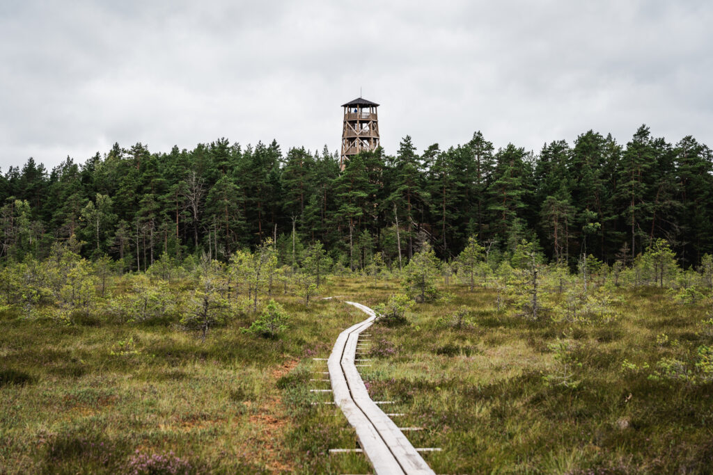 Auhinnamängu pilt