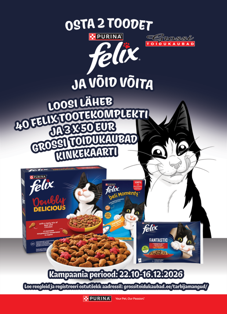 Auhinnamängu pilt