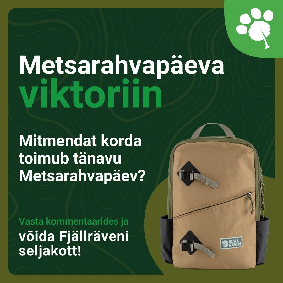 Facebooki auhinnamäng