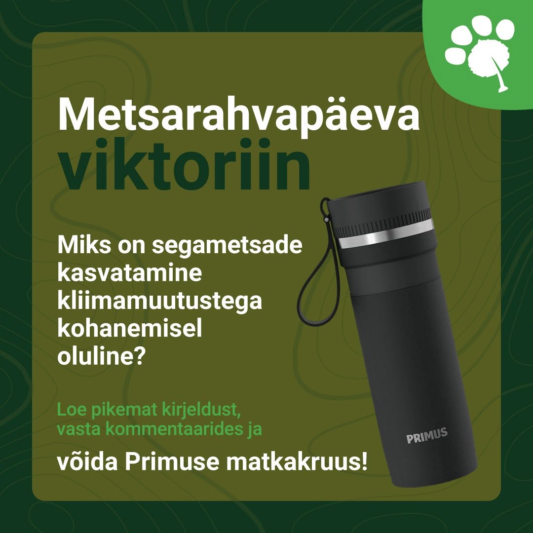 Facebooki auhinnamäng
