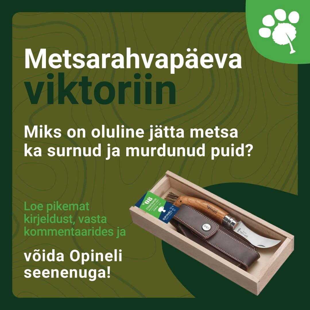 Facebooki auhinnamäng