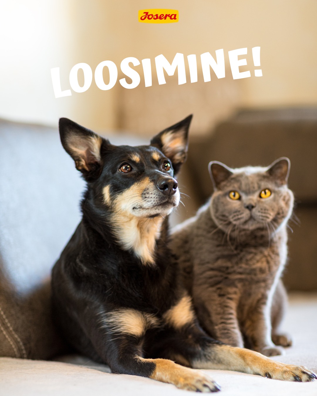 Facebooki auhinnamäng