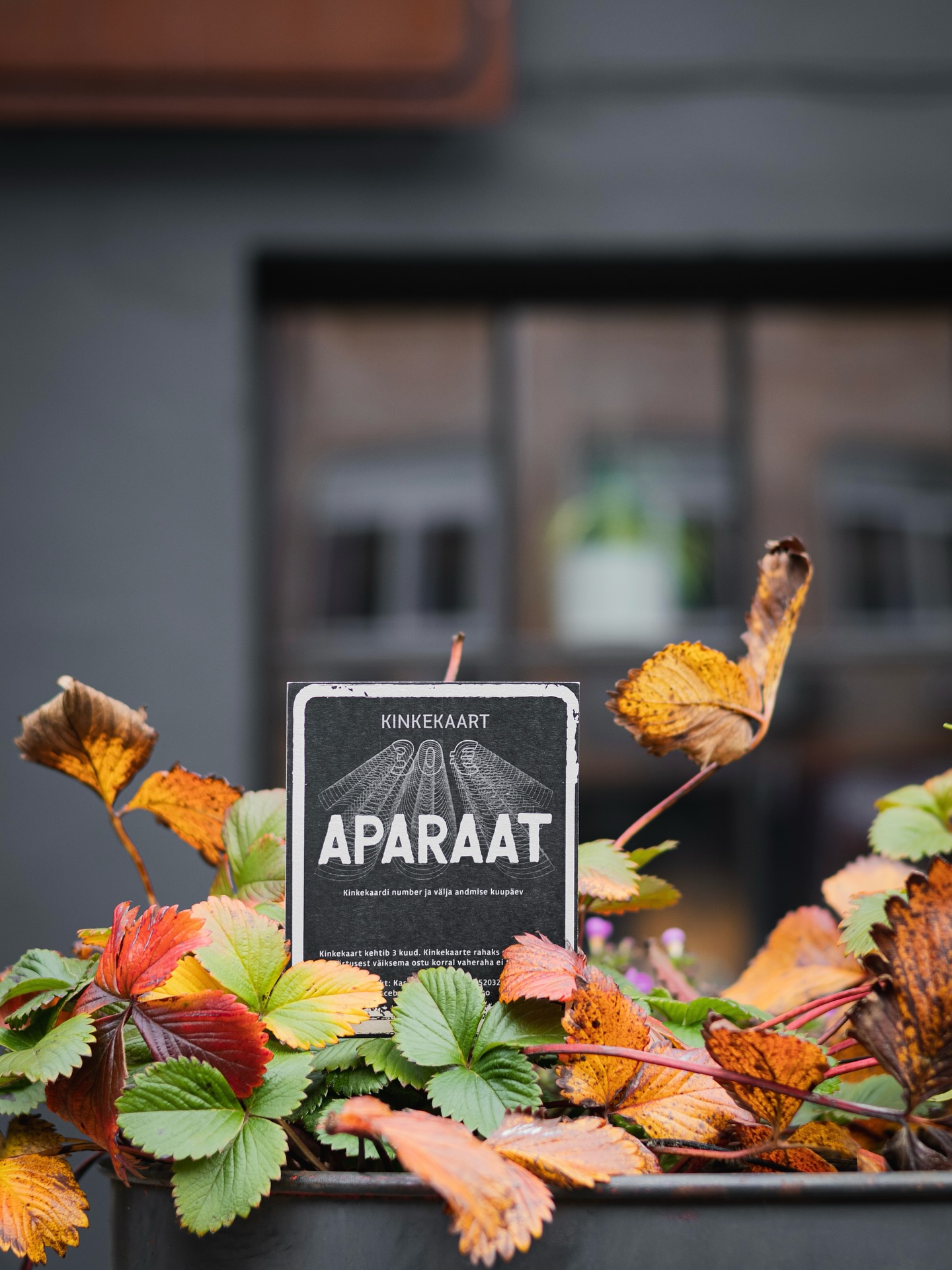 Facebooki auhinnamäng