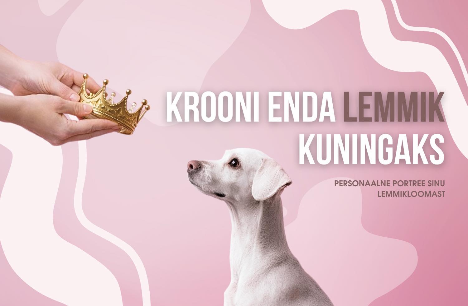 Facebooki auhinnamäng