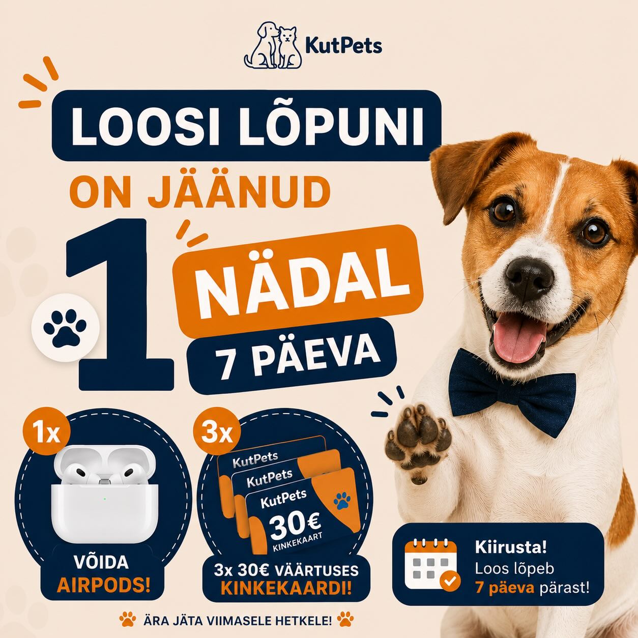 Facebooki auhinnamäng