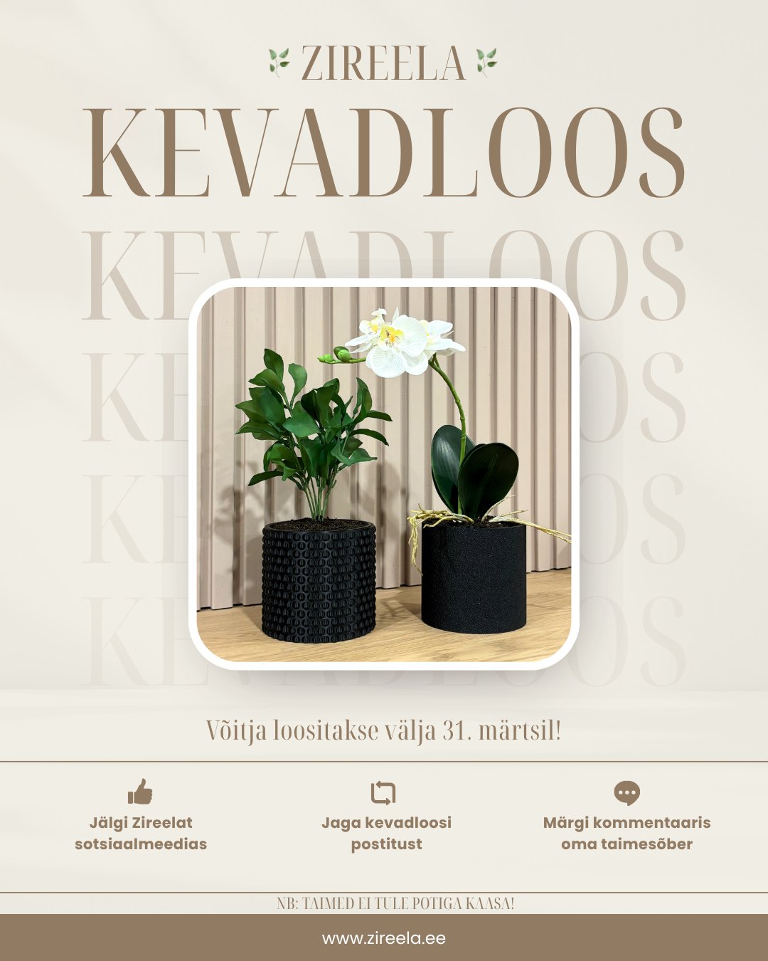 Facebooki auhinnamäng