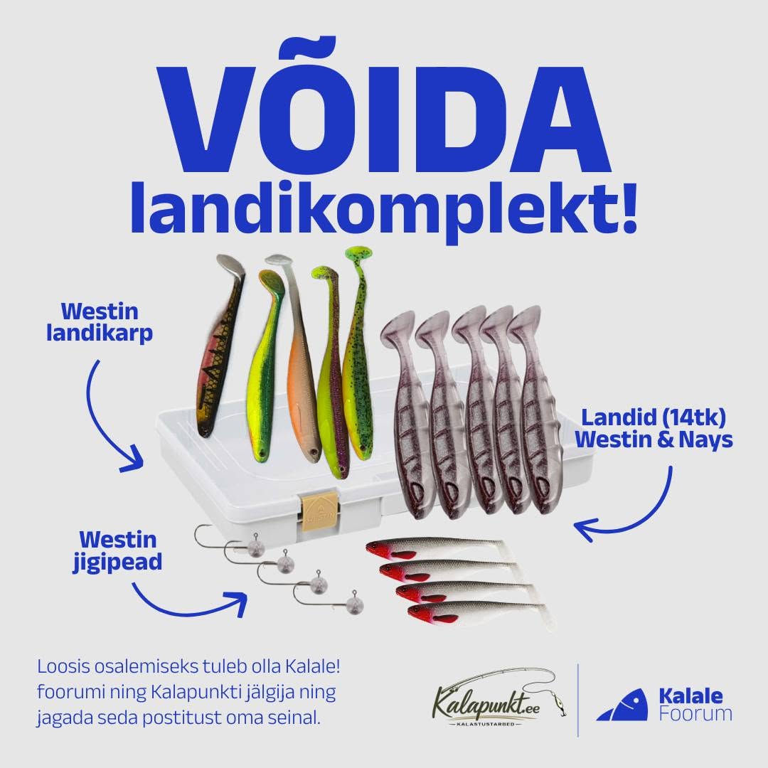 Facebooki auhinnamäng