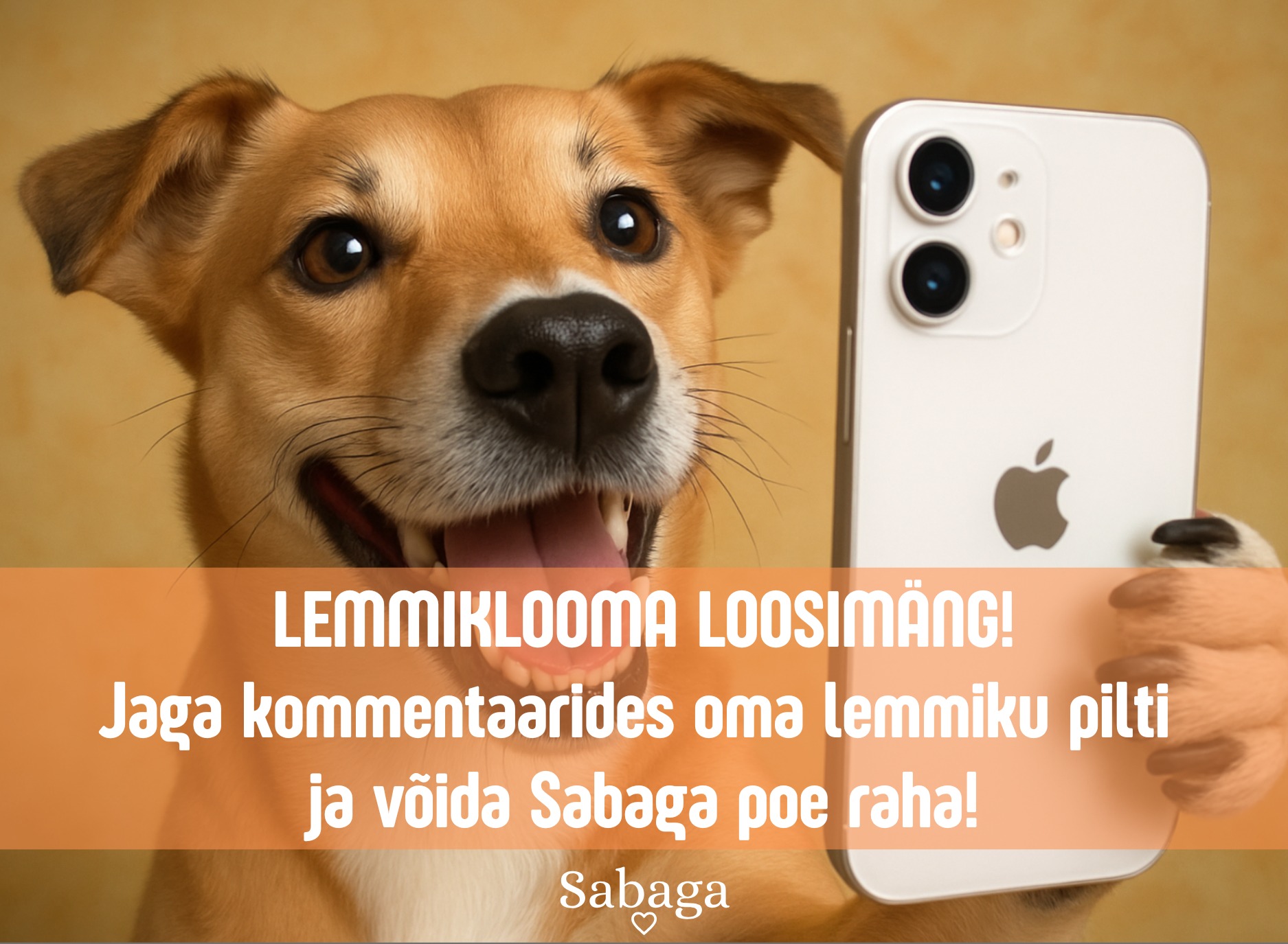 Facebooki auhinnamäng
