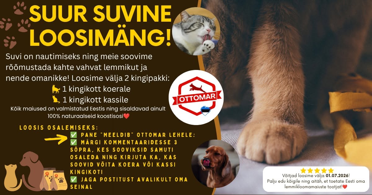 Facebooki auhinnamäng