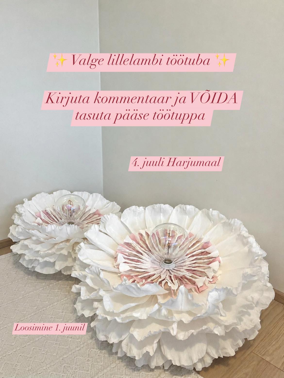 Facebooki auhinnamäng