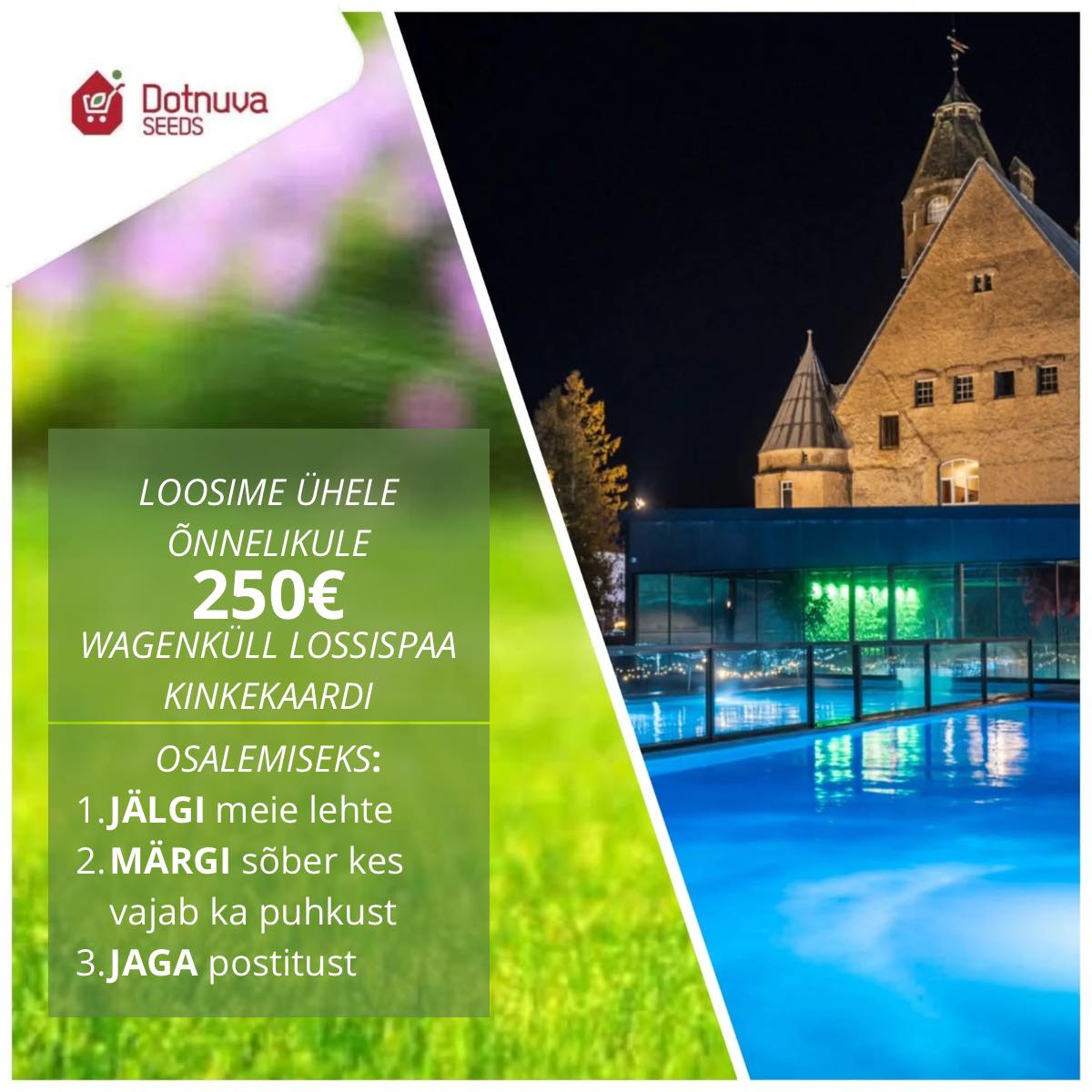 Facebooki auhinnamäng