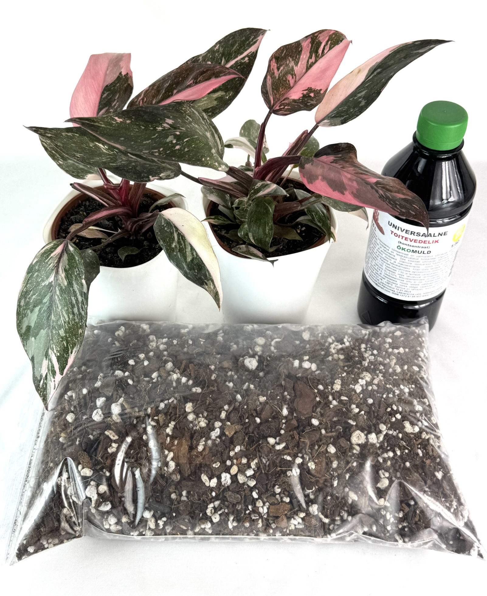 Facebooki auhinnamäng