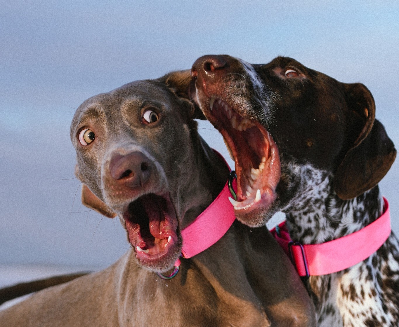 Facebooki auhinnamäng