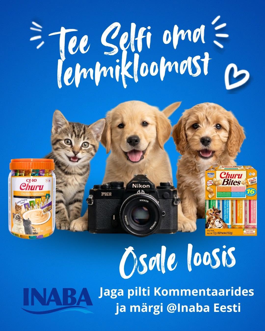 Facebooki auhinnamäng