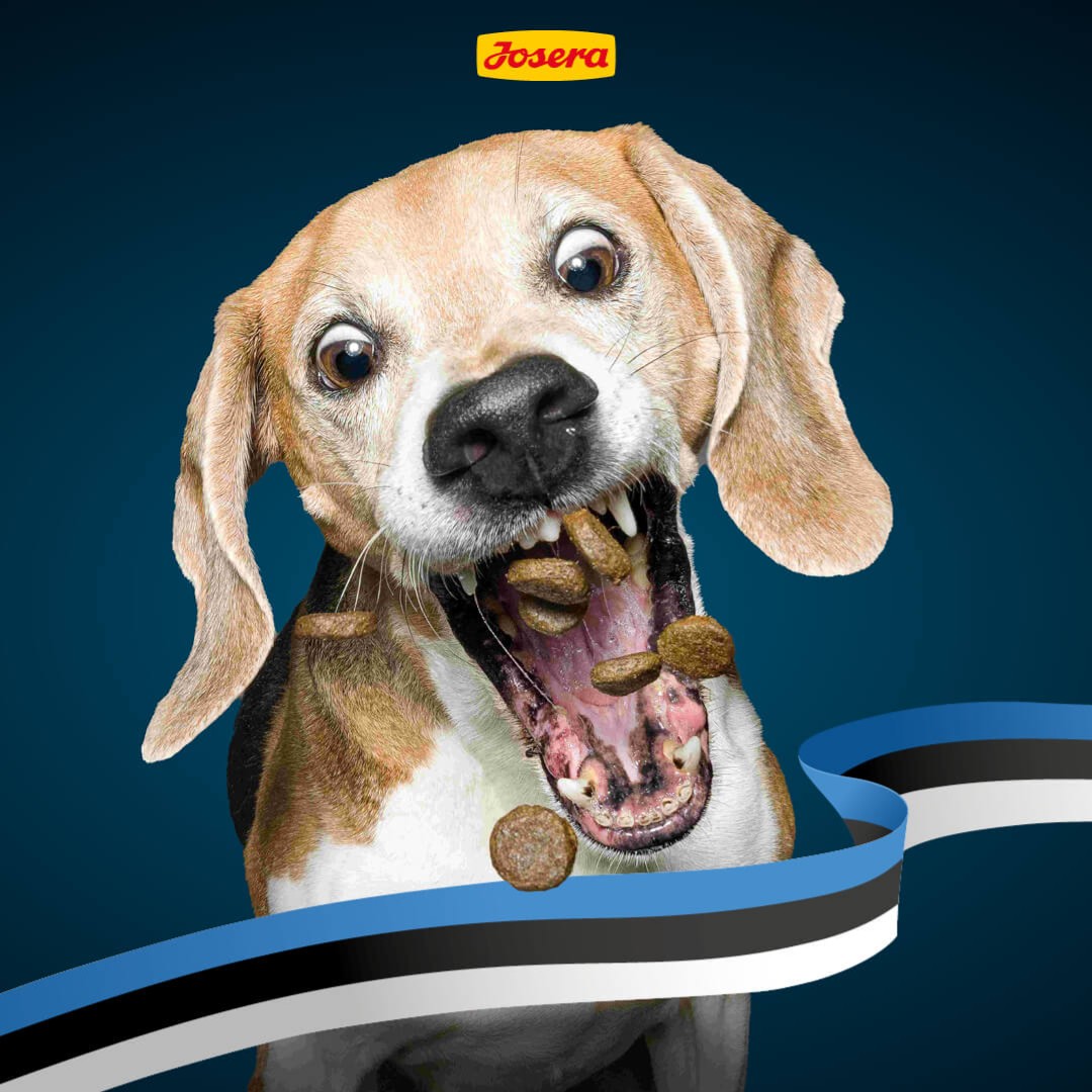 Facebooki auhinnamäng