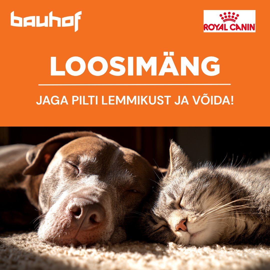 Facebooki auhinnamäng