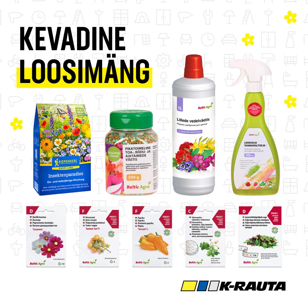 Facebooki auhinnamäng