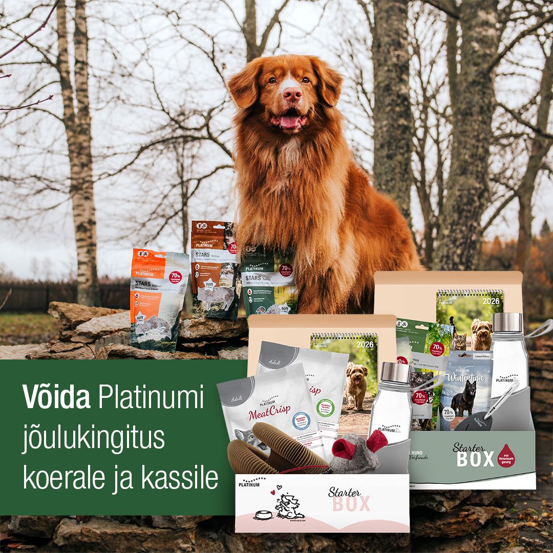 Facebooki auhinnamäng