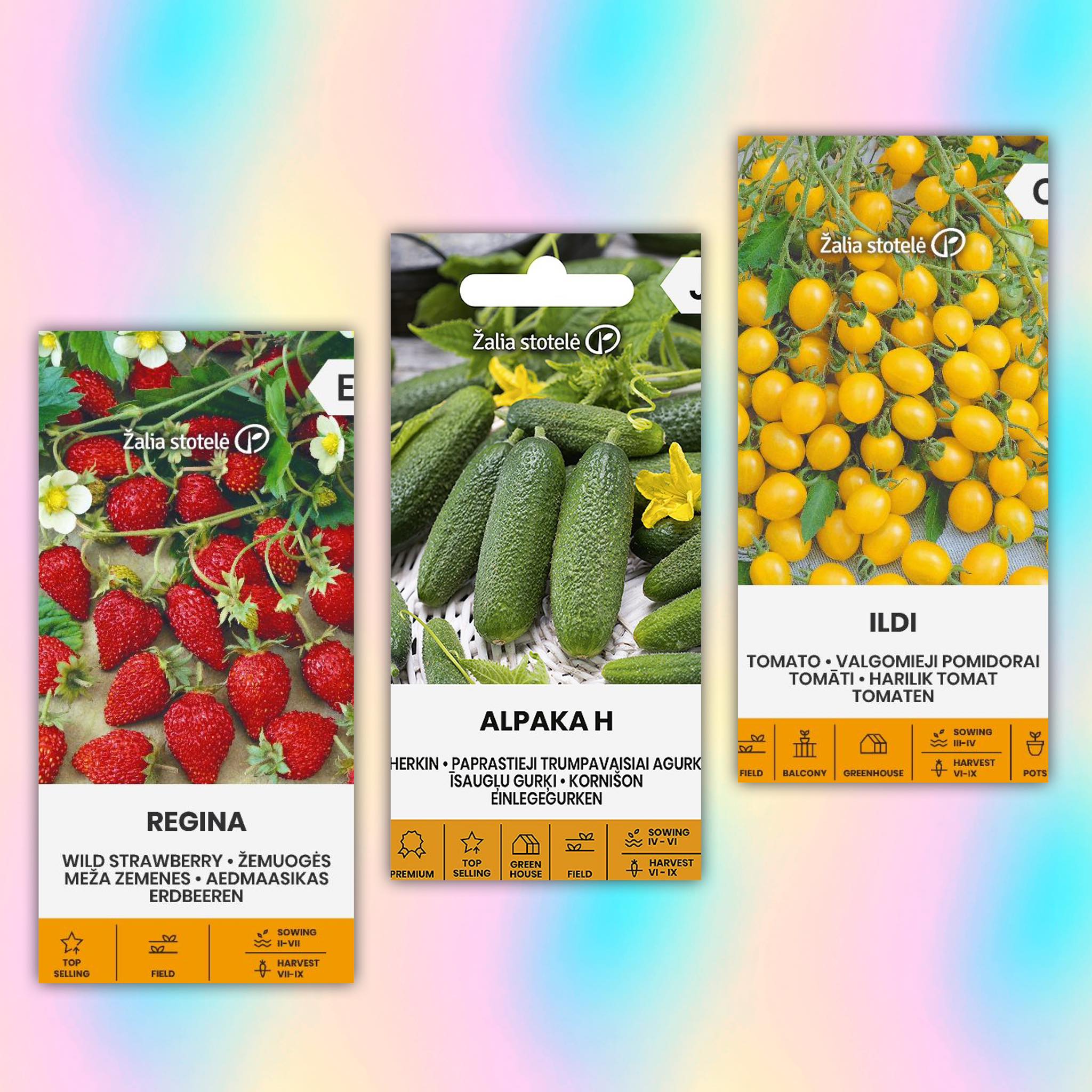 Facebooki auhinnamäng