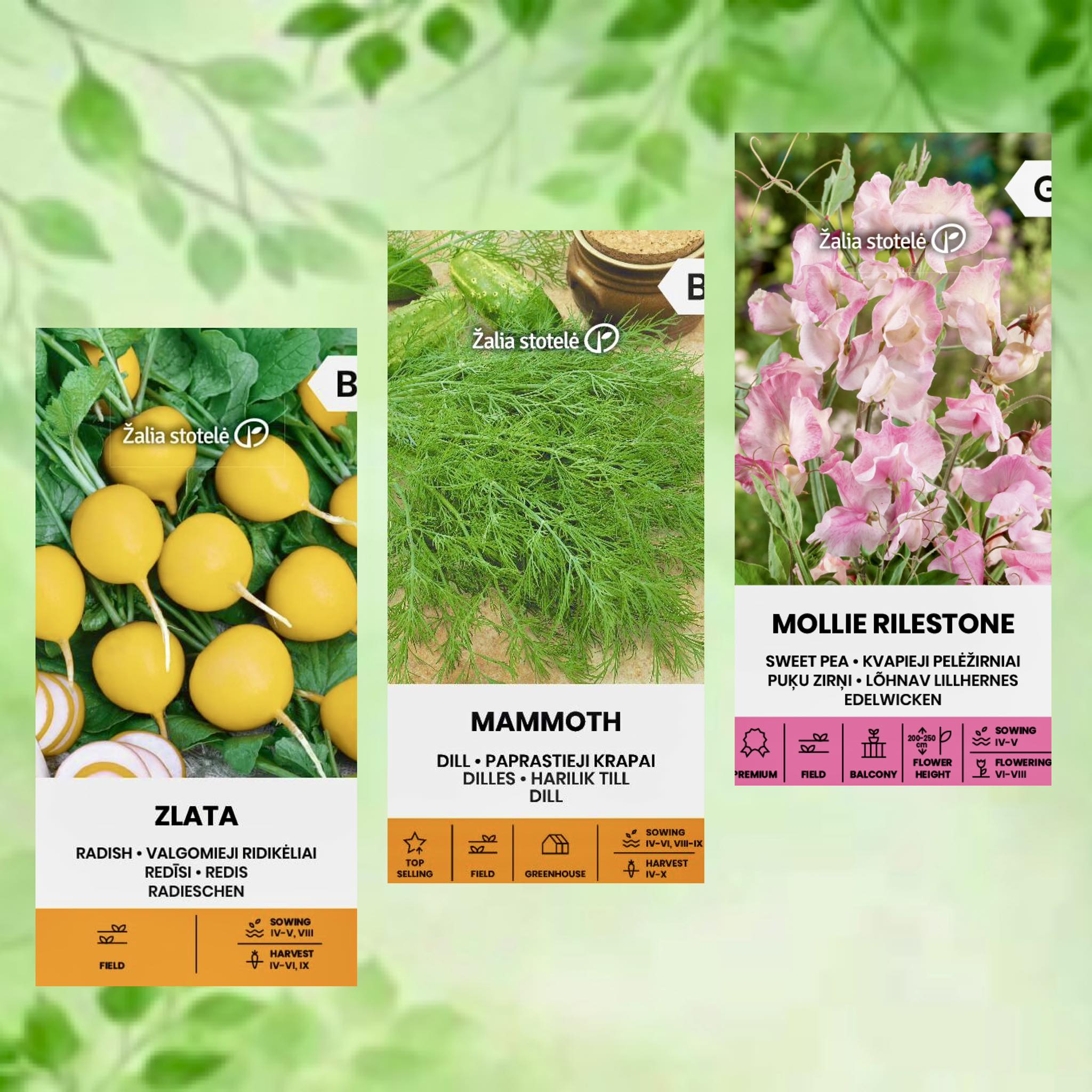 Facebooki auhinnamäng