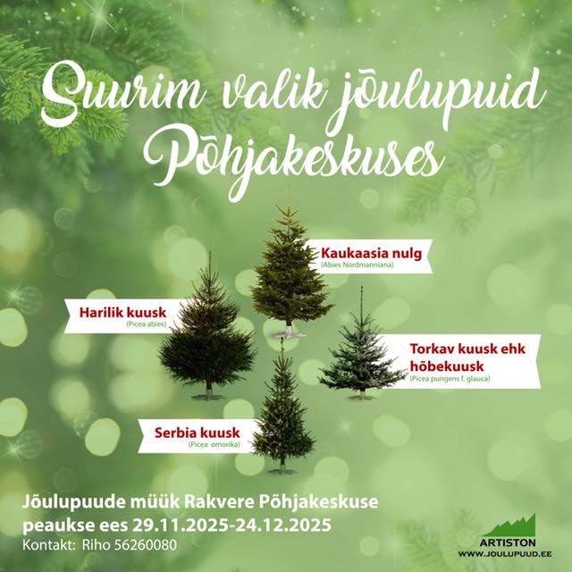 Facebooki auhinnamäng