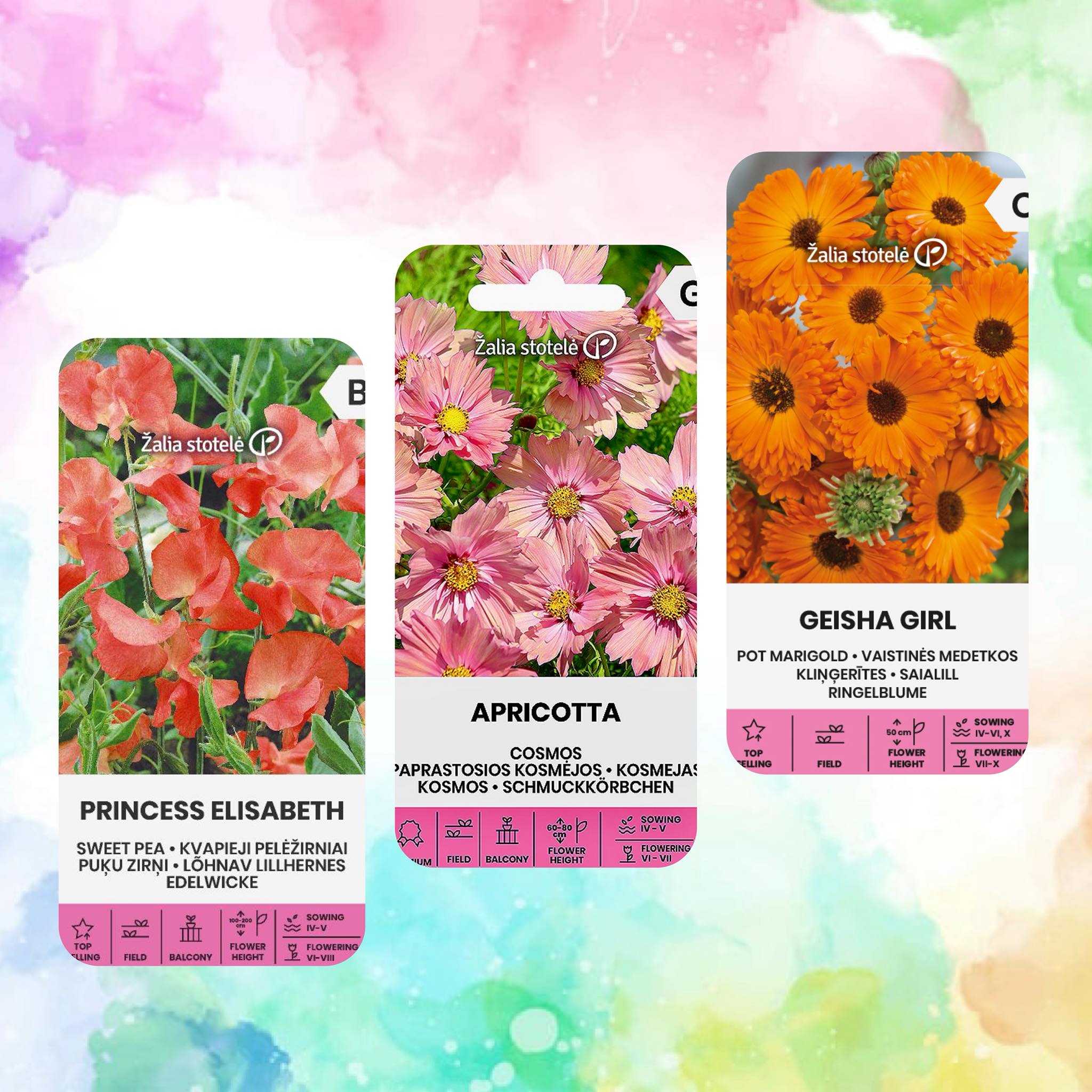 Facebooki auhinnamäng