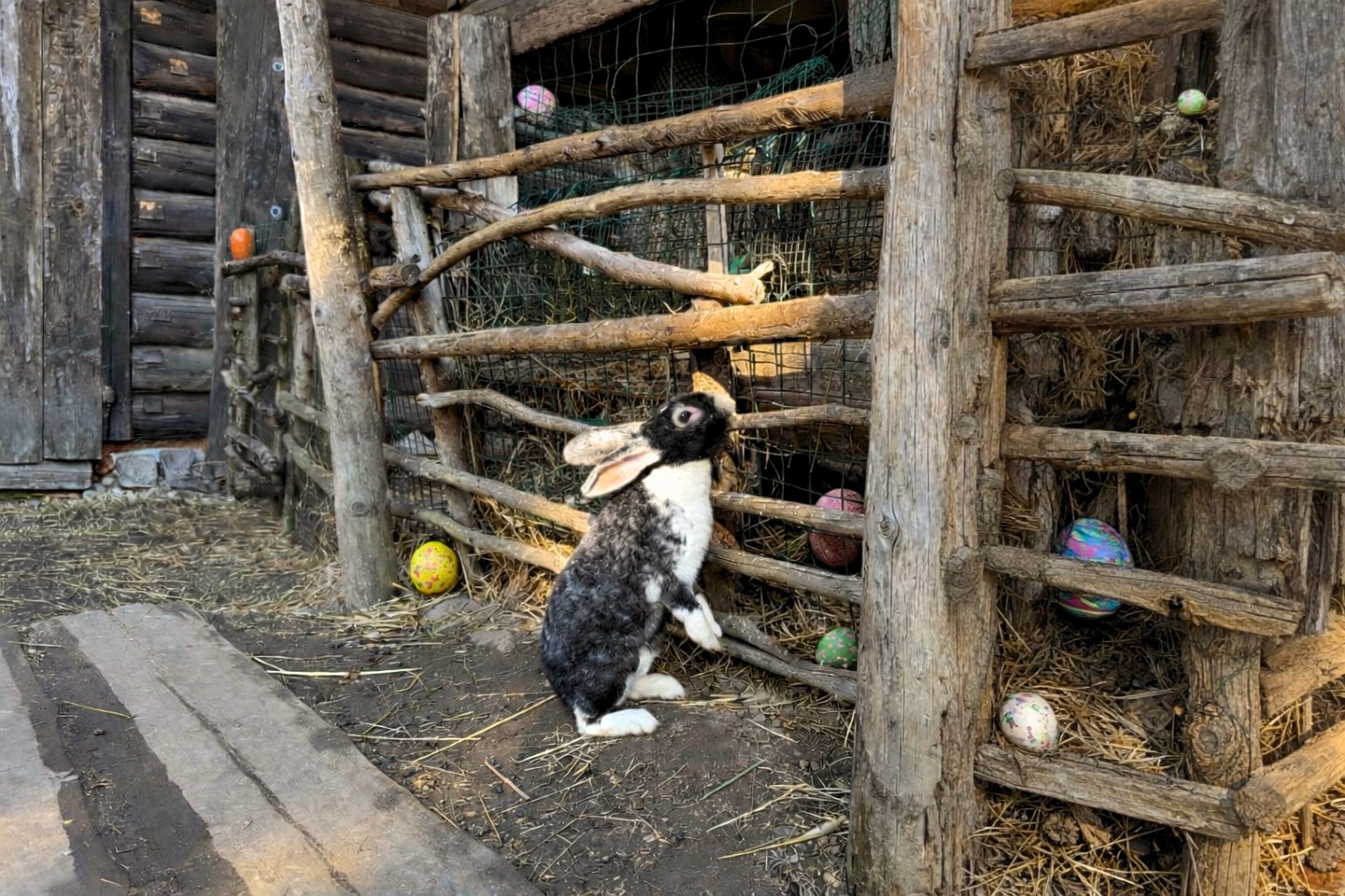 Facebooki auhinnamäng