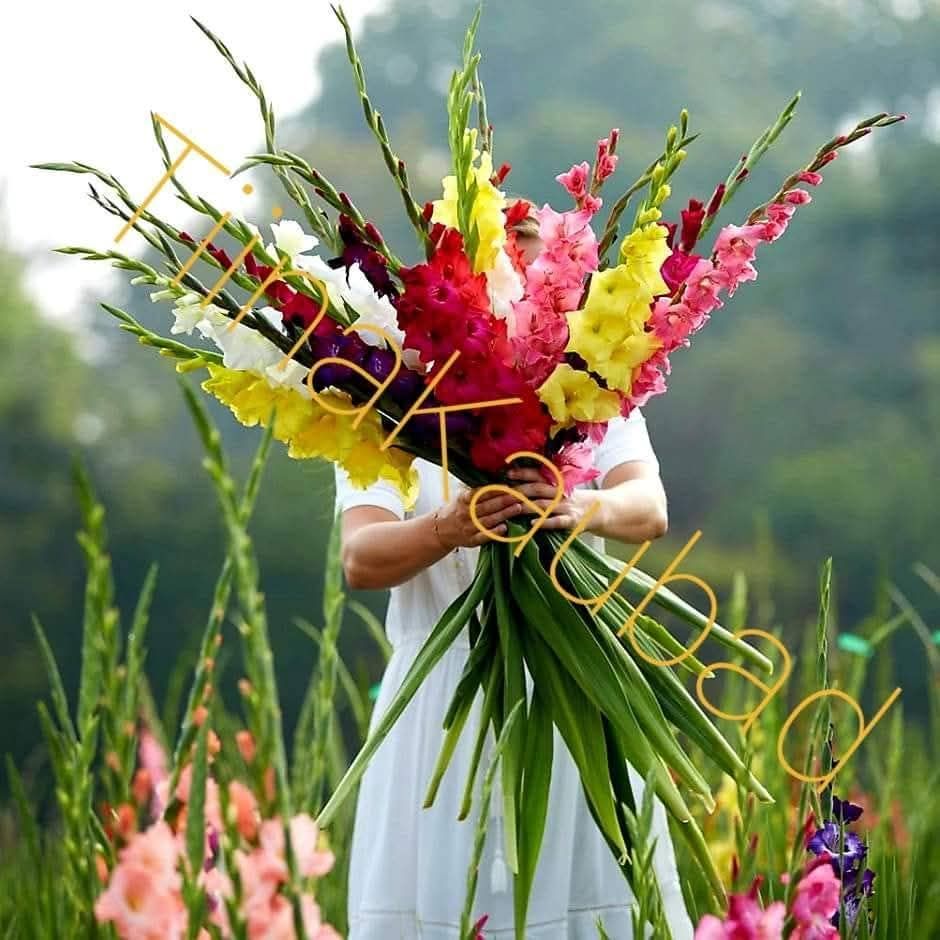 Facebooki auhinnamäng