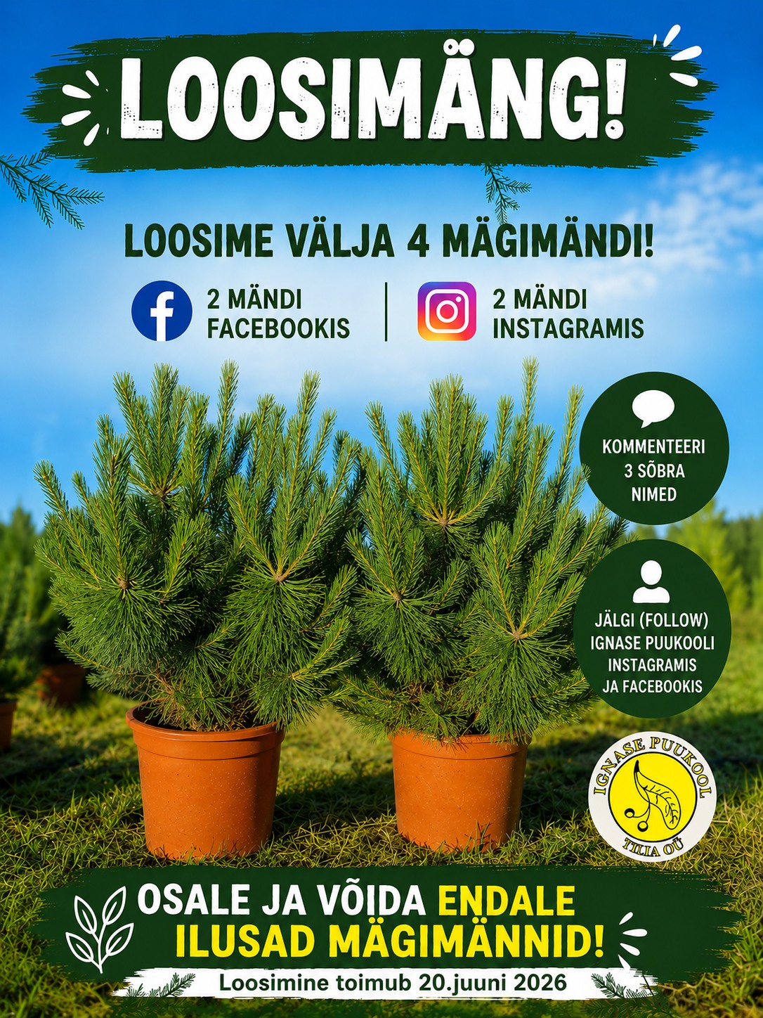 Facebooki auhinnamäng