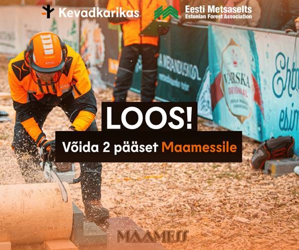 Facebooki auhinnamäng