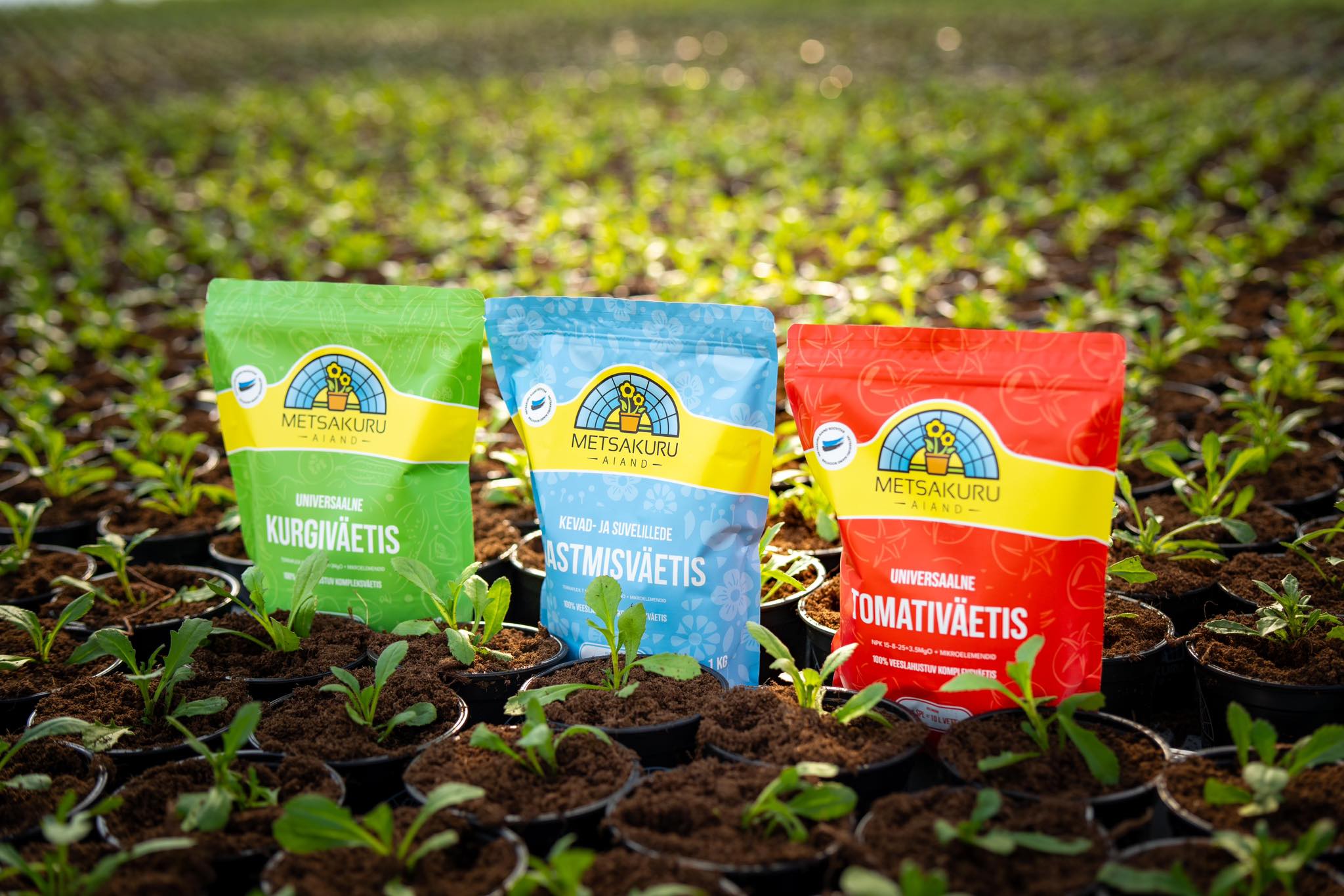 Facebooki auhinnamäng