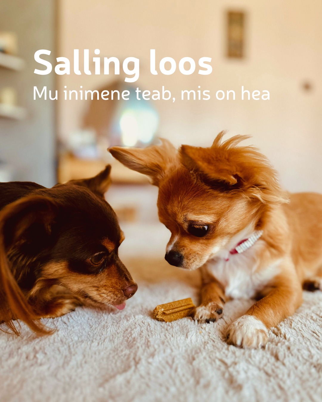 Facebooki auhinnamäng