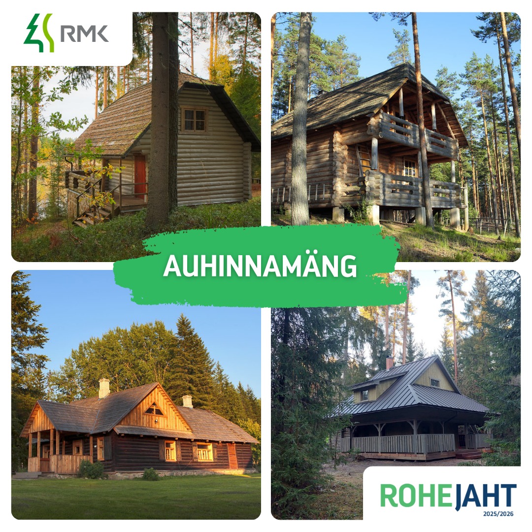 Facebooki auhinnamäng