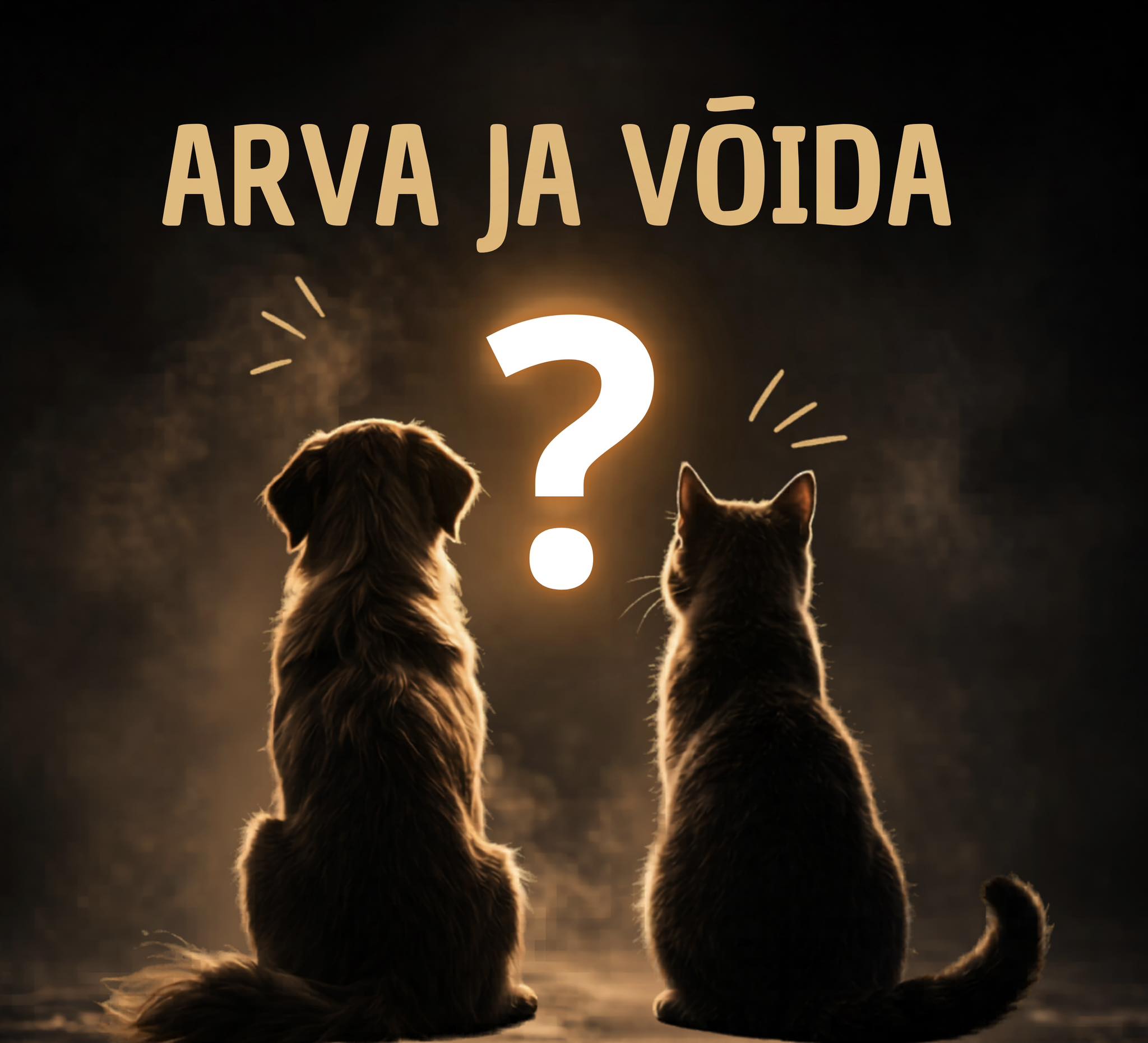 Facebooki auhinnamäng