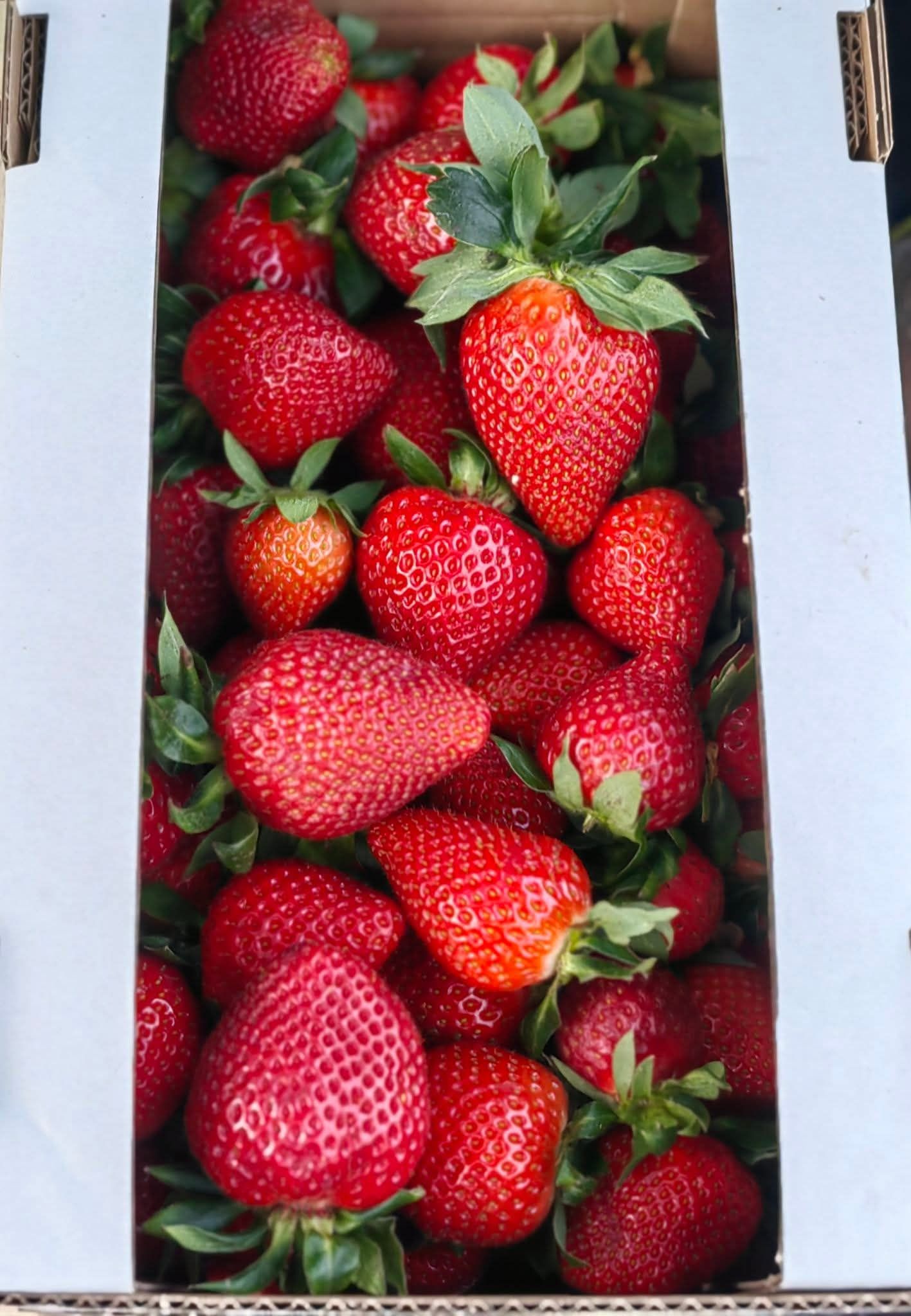 Facebooki auhinnamäng