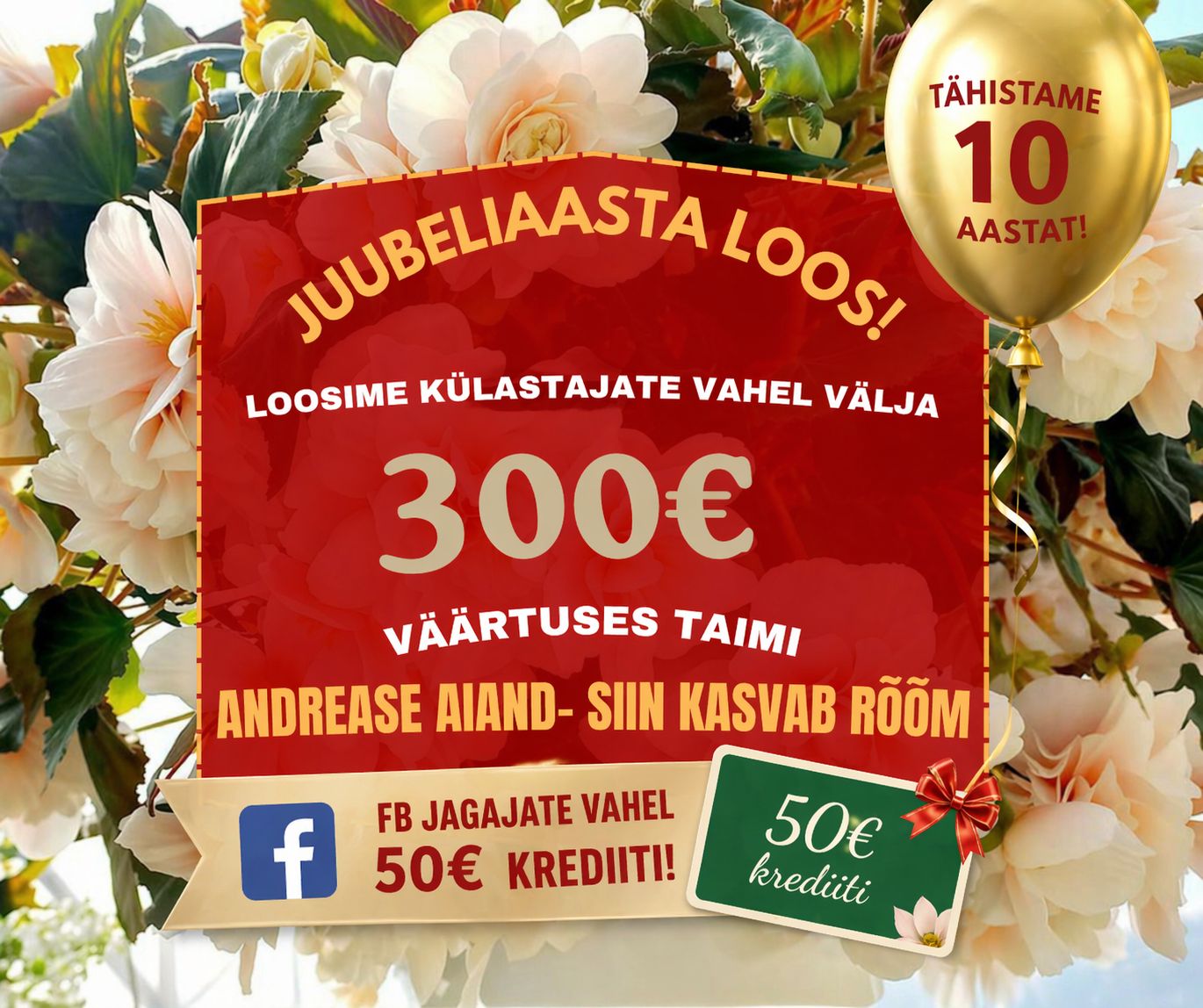 Facebooki auhinnamäng