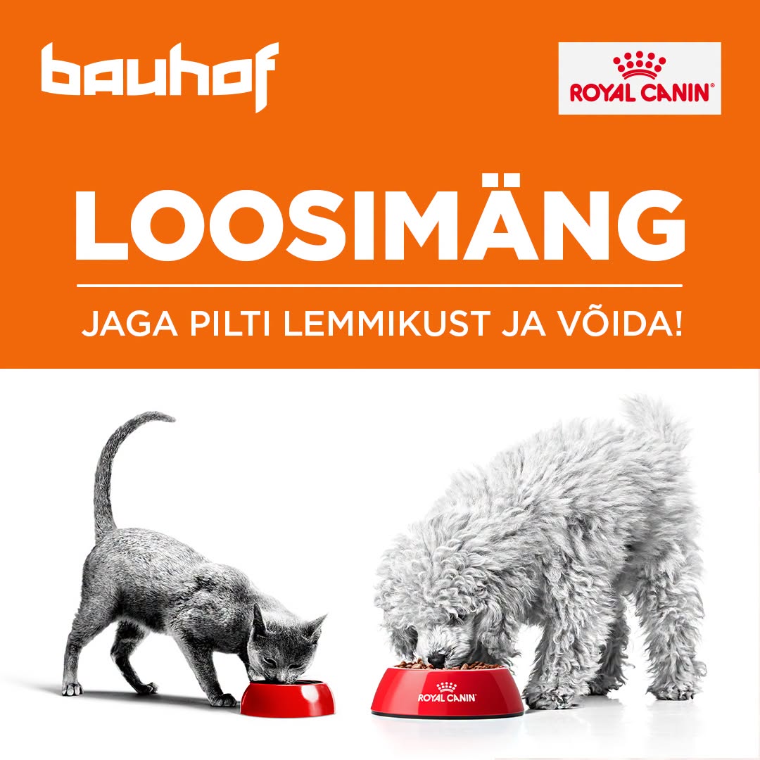 Facebooki auhinnamäng
