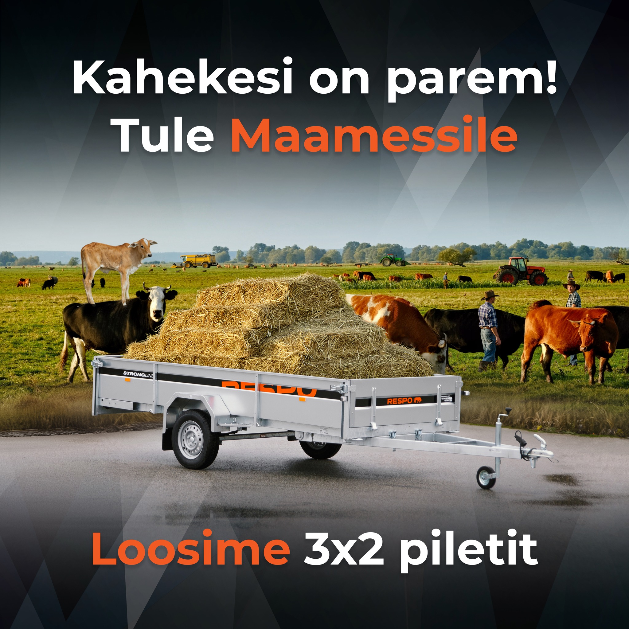 Facebooki auhinnamäng