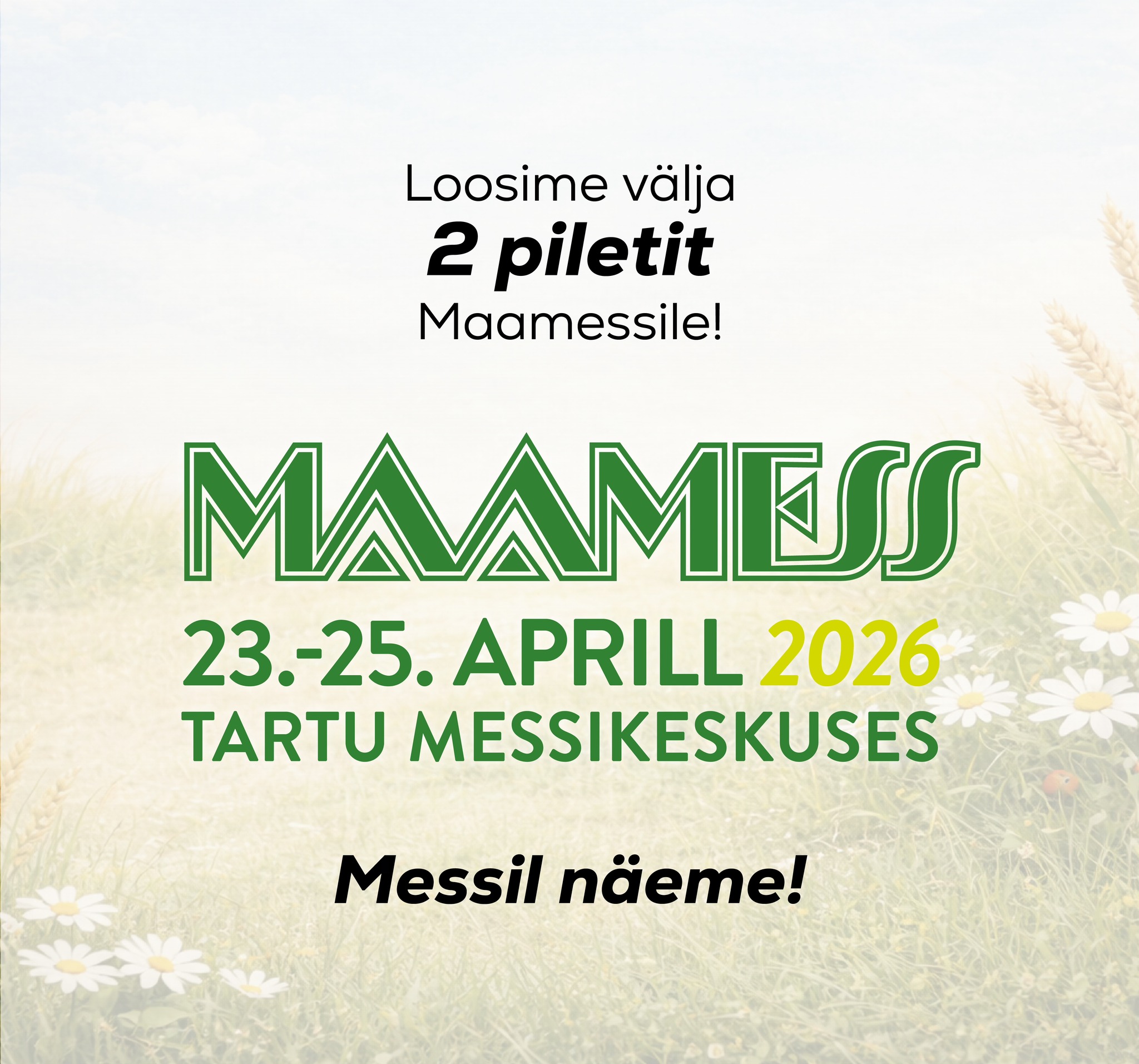 Facebooki auhinnamäng