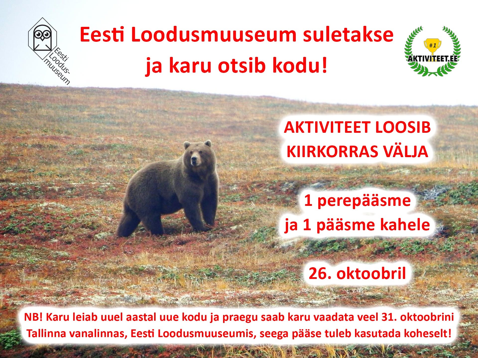 Facebooki auhinnamäng