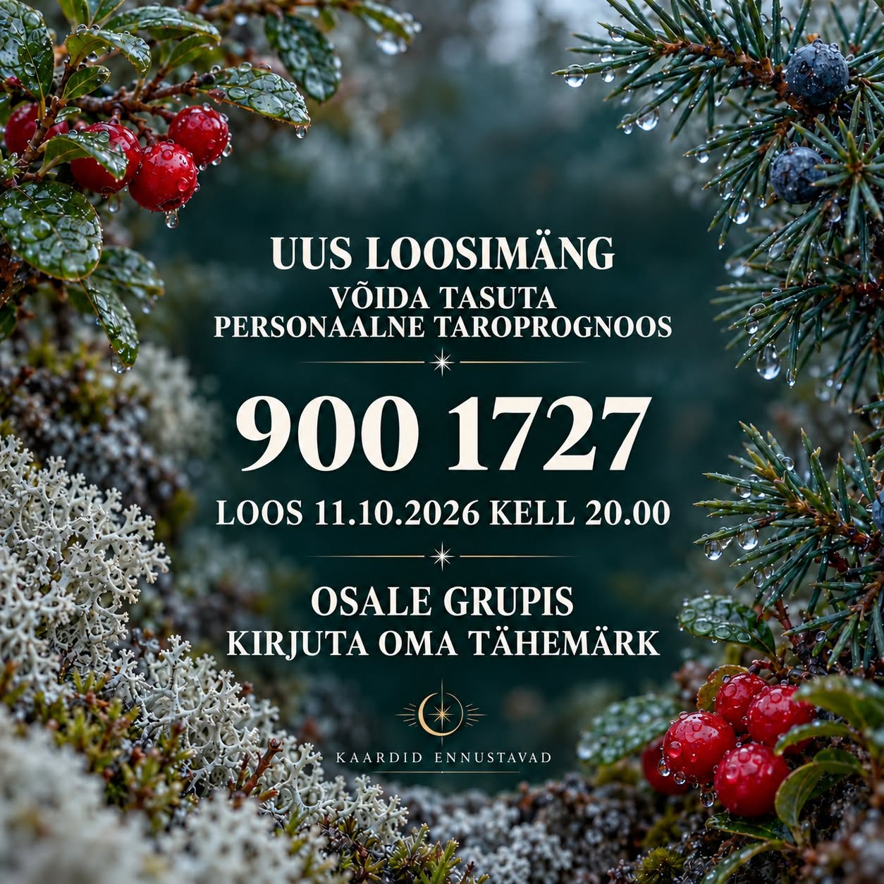 Facebooki auhinnamäng