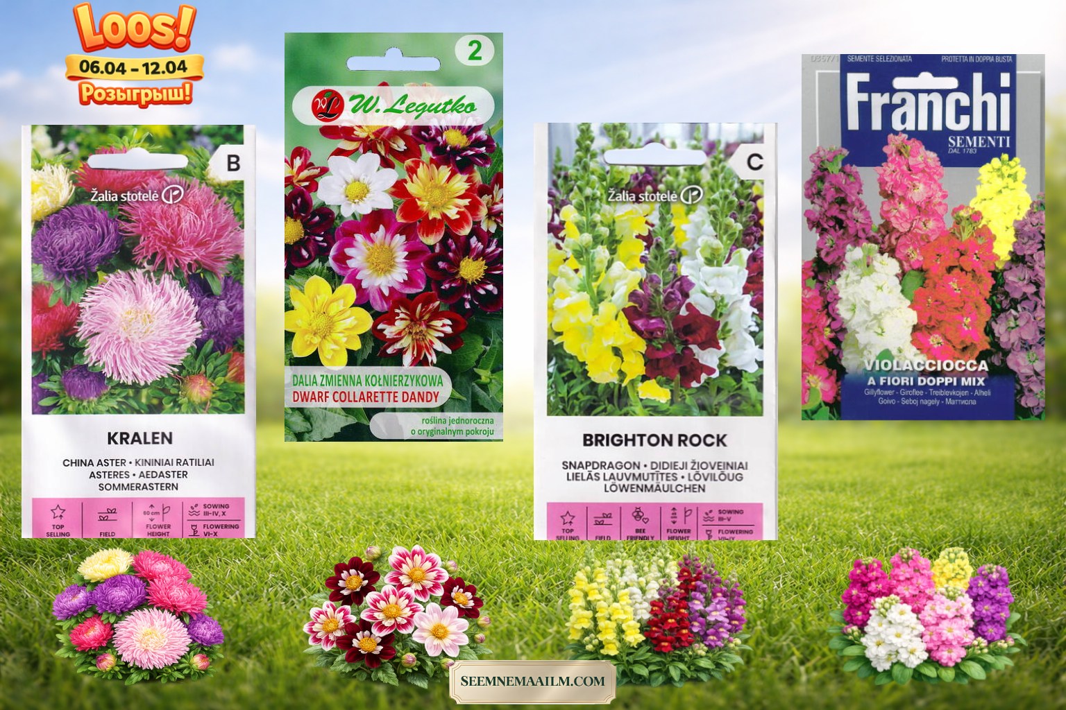 Facebooki auhinnamäng