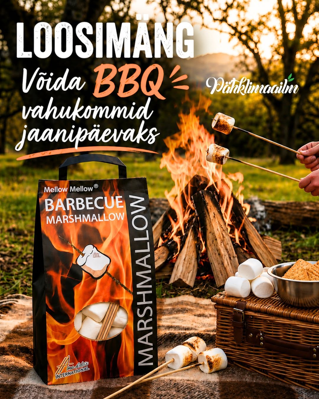 Facebooki auhinnamäng