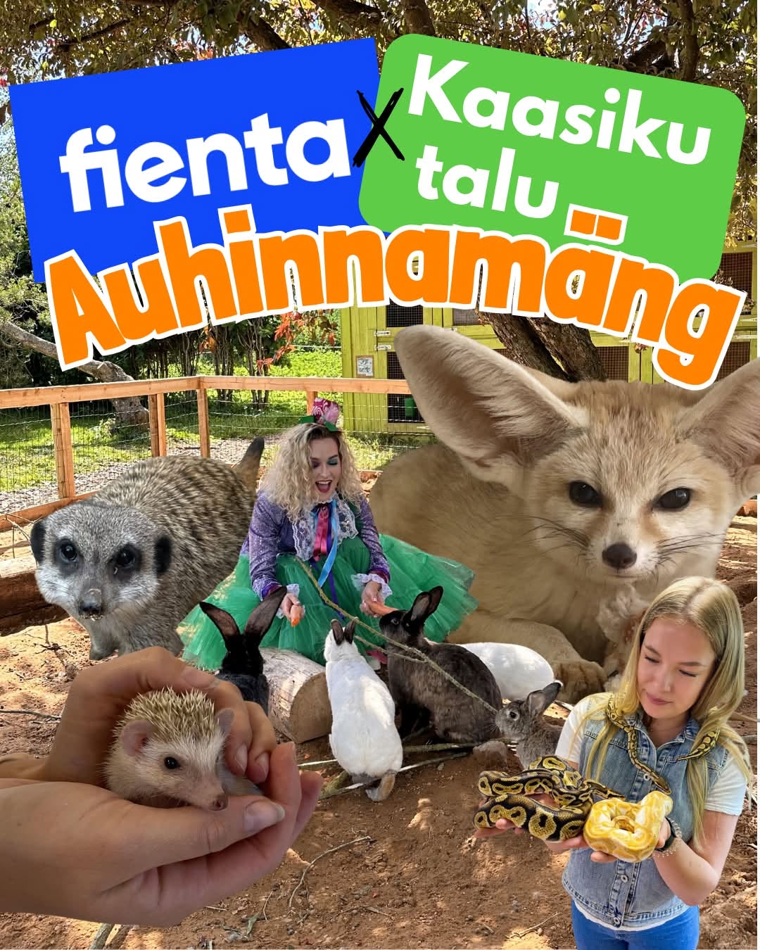 Facebooki auhinnamäng