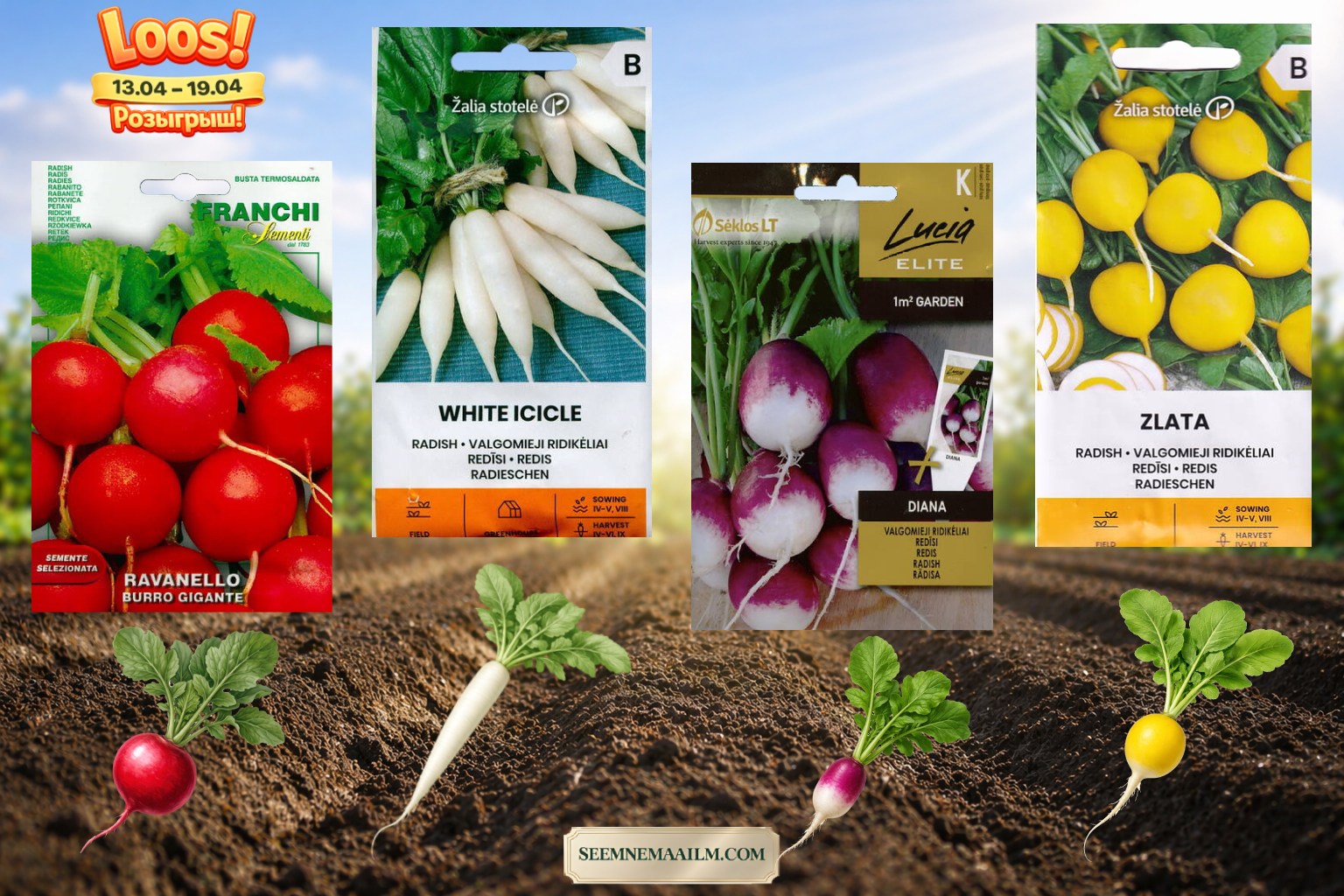 Facebooki auhinnamäng