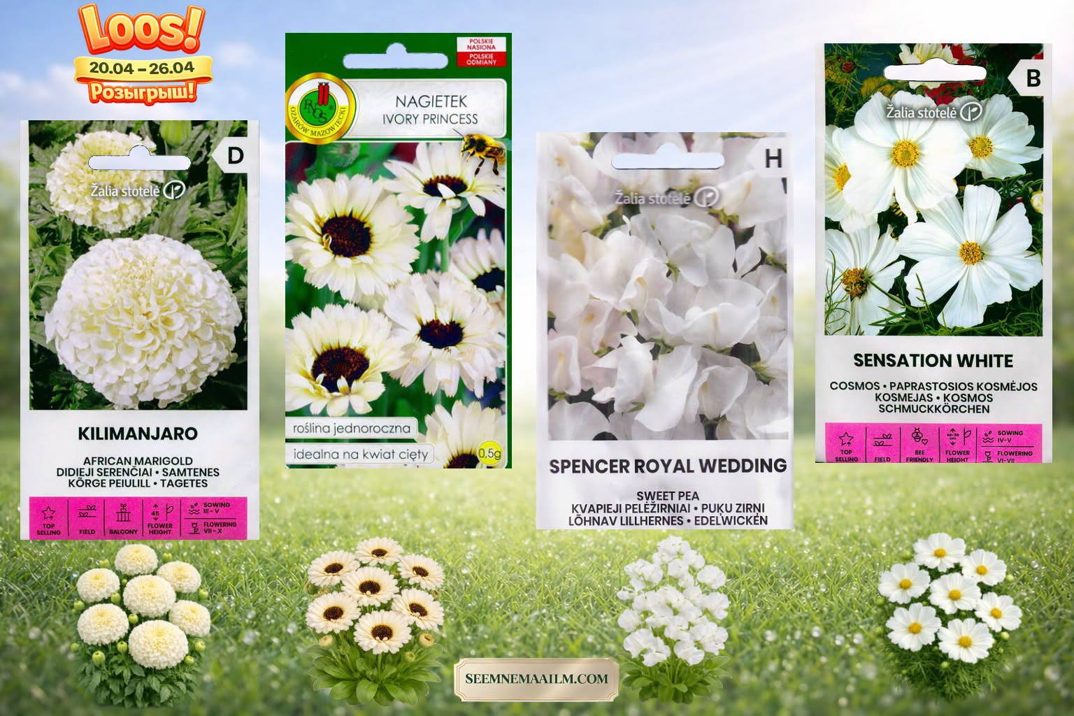 Facebooki auhinnamäng