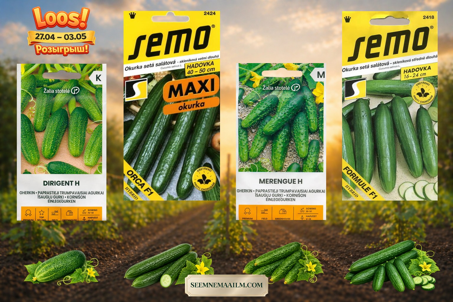 Facebooki auhinnamäng